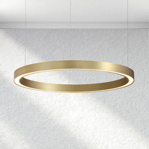 Swaroevan Auraloop Chandelier