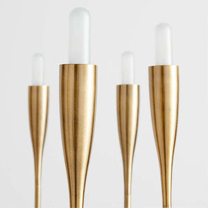 Iiona Candelabra Chandelier Light