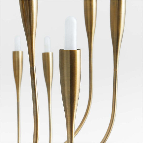 Iiona Candelabra Chandelier Light